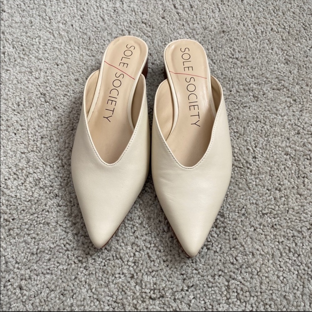 Sole society pointed heel